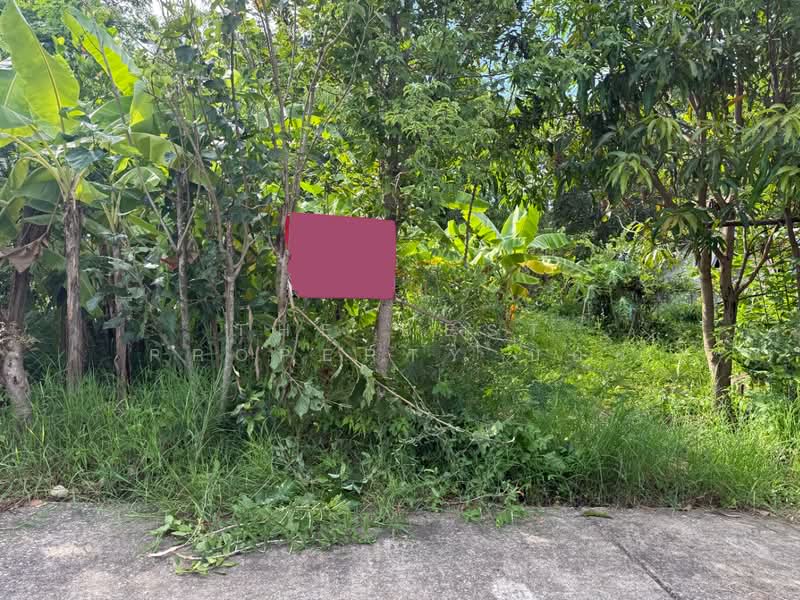 ที่ดินดอยสะเก็ด เชียงใหม่, เชียงใหม่, เชิงดอย, ดอยสะเก็ด, เชียงใหม่, 1,272 ตร.ม., ที่ดิน ขาย, โดย The Best Property บอย, 500409601 - DDproperty.com