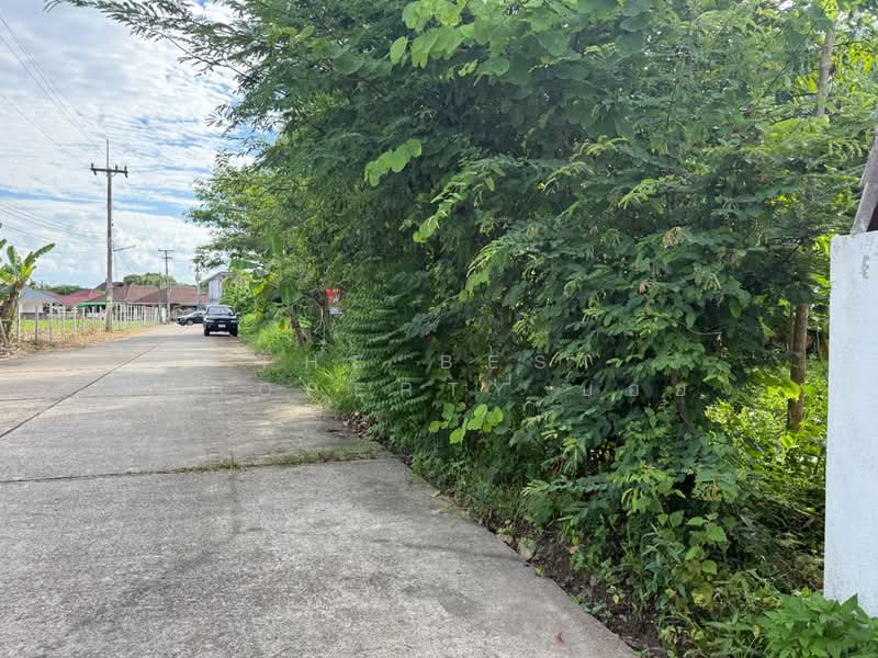 ที่ดินดอยสะเก็ด เชียงใหม่, Chiang Mai, Choeng Doi, Doi Saket, Chiang Mai, , 1,272 sqm, Land For Sale, by The Best Property บอย, 500409601 - DDproperty.com