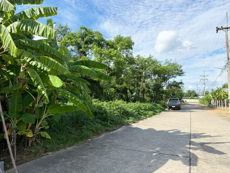ที่ดินดอยสะเก็ด เชียงใหม่, Chiang Mai, Choeng Doi, Doi Saket, Chiang Mai, , 1,272 sqm, Land For Sale, by The Best Property บอย, 500409601 - DDproperty.com