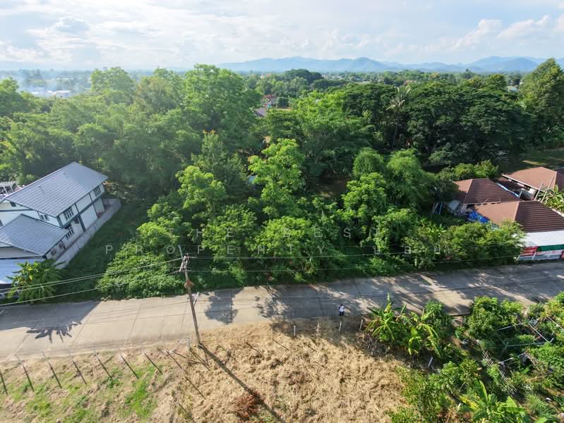 ที่ดินดอยสะเก็ด เชียงใหม่, Chiang Mai, Choeng Doi, Doi Saket, Chiang Mai, , 1,272 sqm, Land For Sale, by The Best Property บอย, 500409601 - DDproperty.com