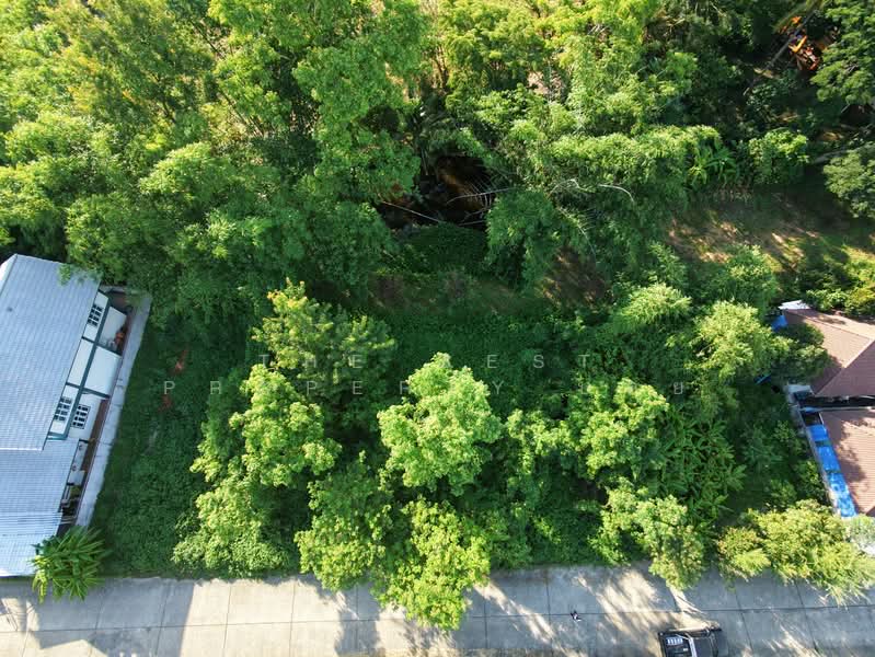ที่ดินดอยสะเก็ด เชียงใหม่, เชียงใหม่, เชิงดอย, ดอยสะเก็ด, เชียงใหม่, 1,272 ตร.ม., ที่ดิน ขาย, โดย The Best Property บอย, 500409601 - DDproperty.com
