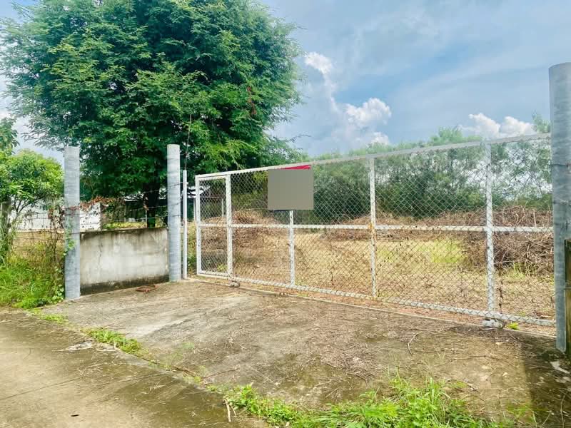 ที่ดินปักธงชัย นครราชสีมา, Nakhon Ratchasima, Muang Pak, Pak Thong Chai, Nakhon Ratchasima, , 1,636 sqm, Land For Sale, by The Best Property จุ๋ม, 500409605 - DDproperty.com