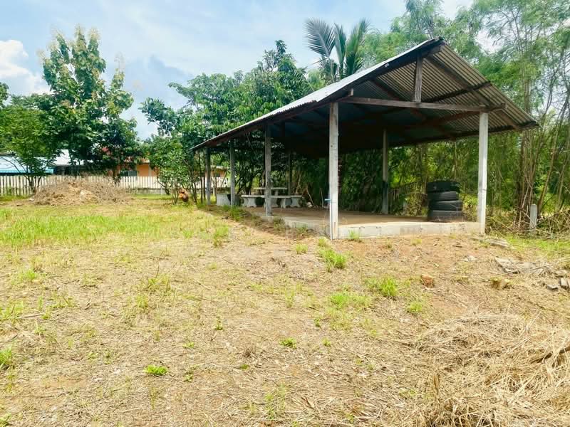 ที่ดินปักธงชัย นครราชสีมา, Nakhon Ratchasima, Muang Pak, Pak Thong Chai, Nakhon Ratchasima, , 1,636 sqm, Land For Sale, by The Best Property จุ๋ม, 500409605 - DDproperty.com