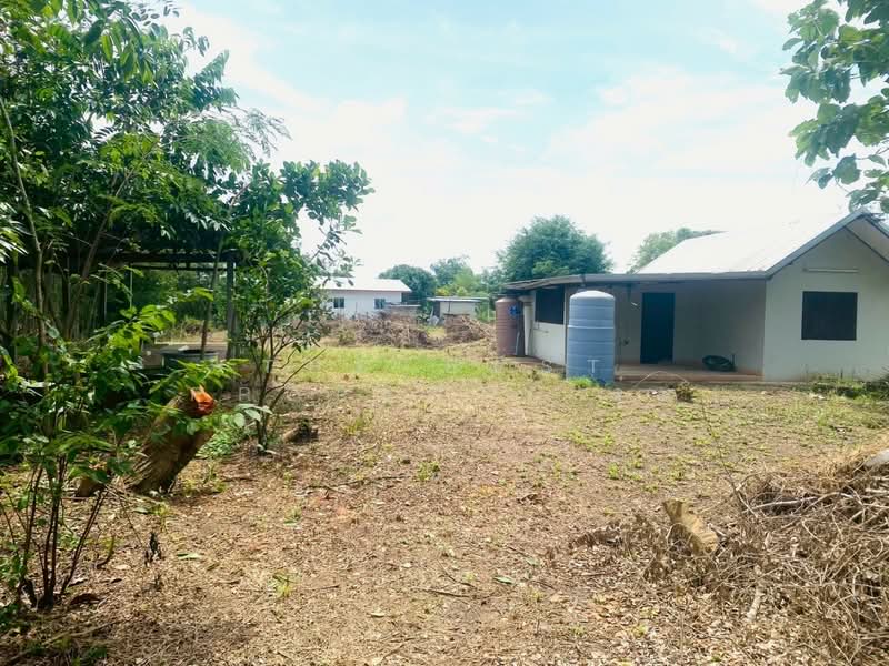 ที่ดินปักธงชัย นครราชสีมา, Nakhon Ratchasima, Muang Pak, Pak Thong Chai, Nakhon Ratchasima, , 1,636 sqm, Land For Sale, by The Best Property จุ๋ม, 500409605 - DDproperty.com