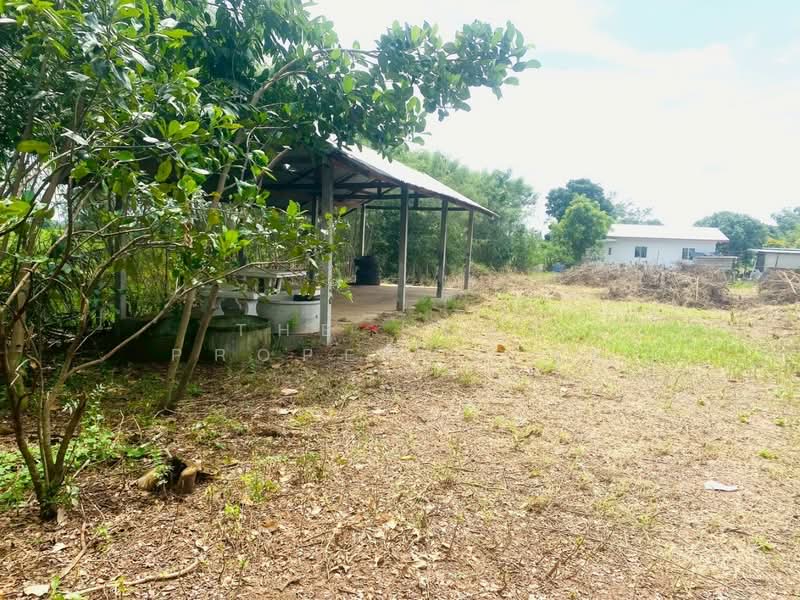 ที่ดินปักธงชัย นครราชสีมา, Nakhon Ratchasima, Muang Pak, Pak Thong Chai, Nakhon Ratchasima, , 1,636 sqm, Land For Sale, by The Best Property จุ๋ม, 500409605 - DDproperty.com