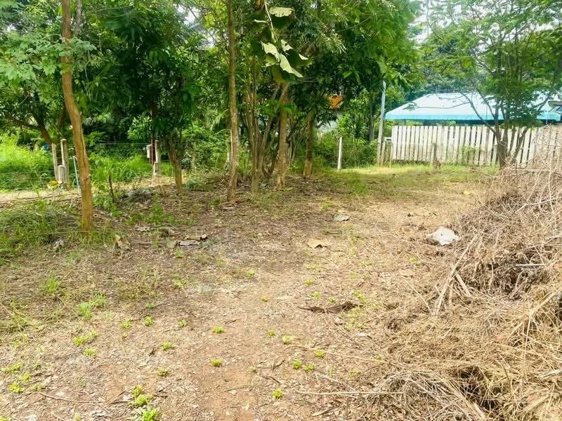 ที่ดินปักธงชัย นครราชสีมา, Nakhon Ratchasima, Muang Pak, Pak Thong Chai, Nakhon Ratchasima, , 1,636 sqm, Land For Sale, by The Best Property จุ๋ม, 500409605 - DDproperty.com