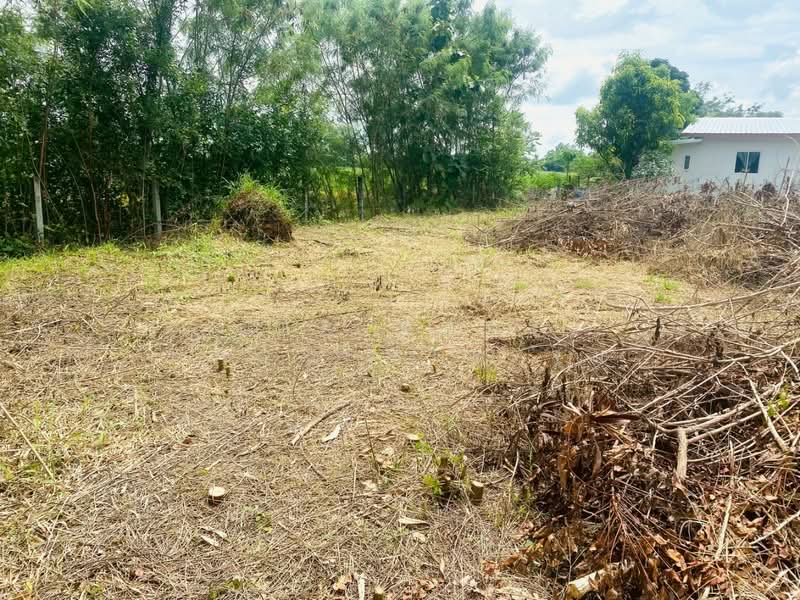 ที่ดินปักธงชัย นครราชสีมา, Nakhon Ratchasima, Muang Pak, Pak Thong Chai, Nakhon Ratchasima, , 1,636 sqm, Land For Sale, by The Best Property จุ๋ม, 500409605 - DDproperty.com