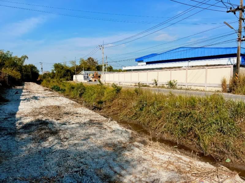 ขายที่ดินหนองหงษ์ 19 ไร่ ขายต่ำกว่าราคาตลาด ติดคลองถมแล้วซอยวัดห้วยยาง อ.พานทอง, ชลบุรี, หนองหงษ์, พานทอง, ชลบุรี, 30,928 ตร.ม., ที่ดิน ขาย, โดย RICHWELL INTERPLUS, 500409612 - DDproperty.com