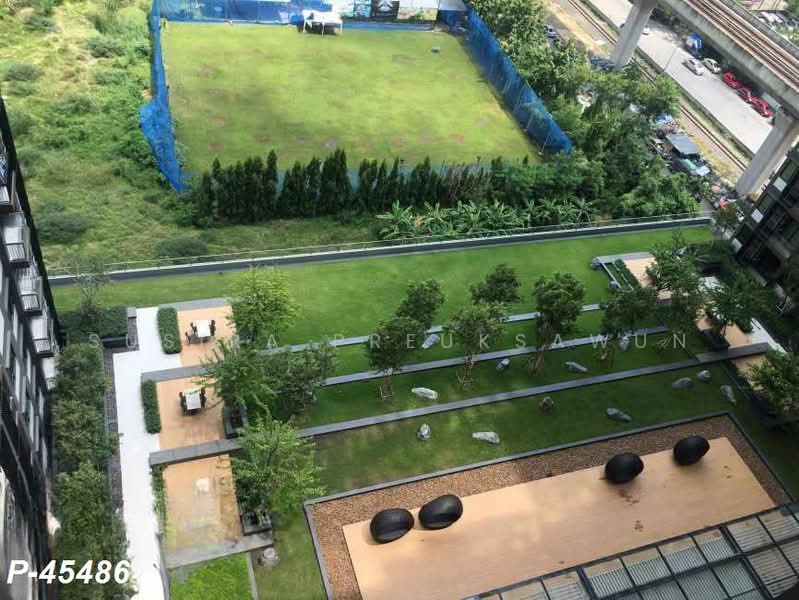 Life Asoke, Bangkok, Asoke-Dindang Road, Bang Kapi, Huai Khwang, Bangkok, 1 Bedroom, 30 sqm, Condo For Rent, by Susira Preuksawun, 500409617 - DDproperty.com