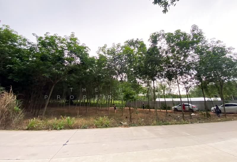 ที่ดินบ้านค่าย ระยอง, ระยอง, หนองตะพาน, บ้านค่าย, ระยอง, 11,284 ตร.ม., ที่ดิน ขาย, โดย The Best Property อ้อม, 500409695 - DDproperty.com
