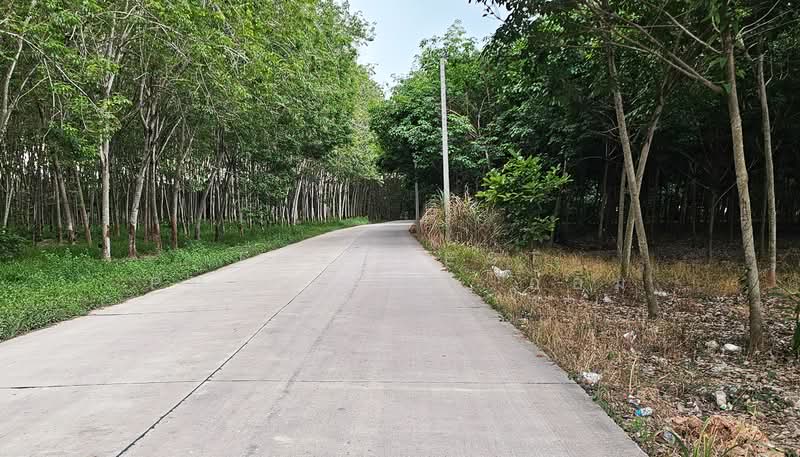 ที่ดินบ้านค่าย ระยอง, ระยอง, หนองตะพาน, บ้านค่าย, ระยอง, 11,284 ตร.ม., ที่ดิน ขาย, โดย The Best Property อ้อม, 500409695 - DDproperty.com