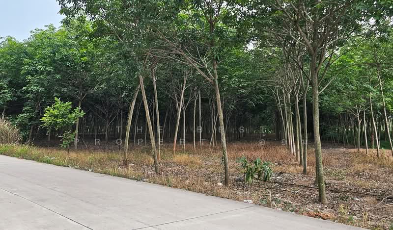 ที่ดินบ้านค่าย ระยอง, Rayong, Nong Taphan, Ban Khai, Rayong, , 11,284 sqm, Land For Sale, by The Best Property อ้อม, 500409695 - DDproperty.com