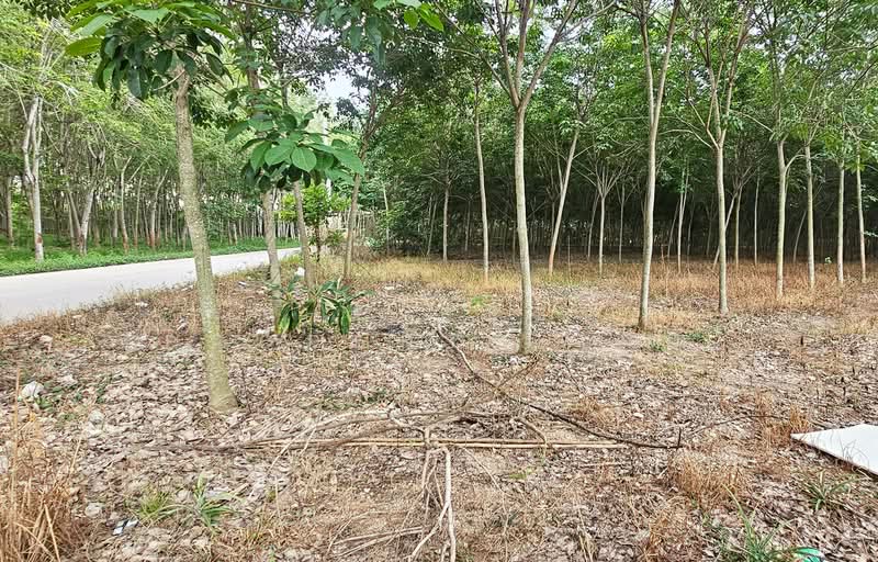 ที่ดินบ้านค่าย ระยอง, Rayong, Nong Taphan, Ban Khai, Rayong, , 11,284 sqm, Land For Sale, by The Best Property อ้อม, 500409695 - DDproperty.com