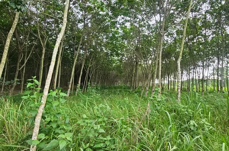 ที่ดินบ้านค่าย ระยอง, Rayong, Nong Taphan, Ban Khai, Rayong, , 11,284 sqm, Land For Sale, by The Best Property อ้อม, 500409695 - DDproperty.com