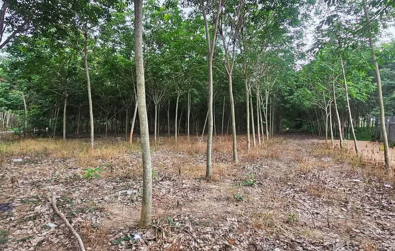 ที่ดินบ้านค่าย ระยอง, ระยอง, หนองตะพาน, บ้านค่าย, ระยอง, 11,284 ตร.ม., ที่ดิน ขาย, โดย The Best Property อ้อม, 500409695 - DDproperty.com