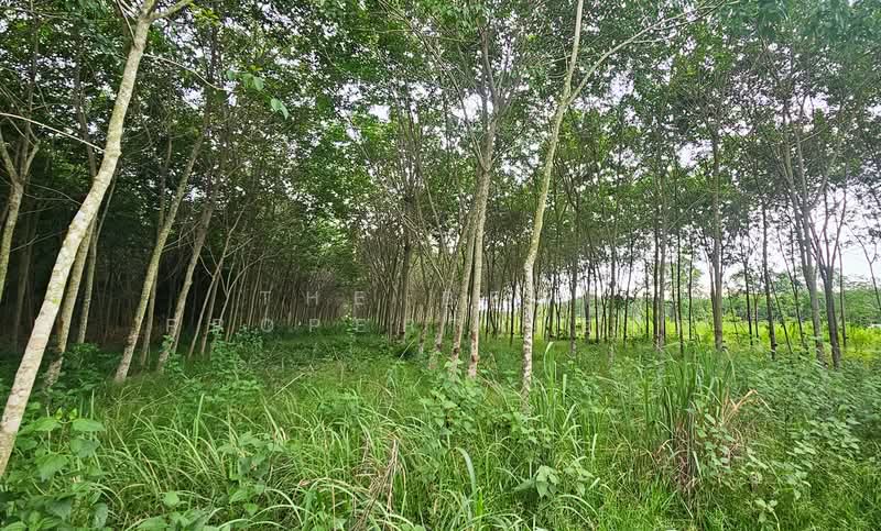 ที่ดินบ้านค่าย ระยอง, Rayong, Nong Taphan, Ban Khai, Rayong, , 11,284 sqm, Land For Sale, by The Best Property อ้อม, 500409695 - DDproperty.com