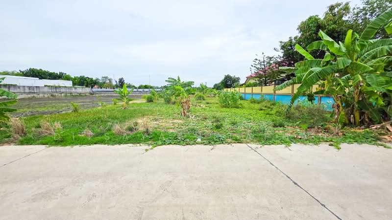 ทวีวัฒนา, กรุงเทพ, ทวีวัฒนา, กรุงเทพ, 800 ตร.ม., ที่ดิน ขาย, โดย Pongpeera Ditsayathitaphan, 500409703 - DDproperty.com