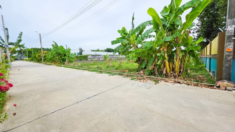ทวีวัฒนา, กรุงเทพ, ทวีวัฒนา, กรุงเทพ, 800 ตร.ม., ที่ดิน ขาย, โดย Pongpeera Ditsayathitaphan, 500409703 - DDproperty.com