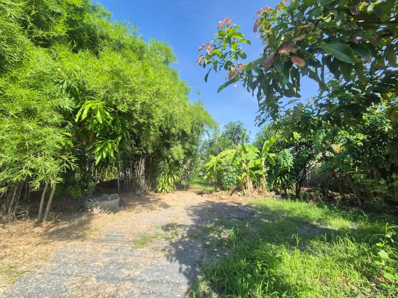 ที่ดินสามพราน นครปฐม, นครปฐม, บางกระทึก, สามพราน, นครปฐม, 1,200 ตร.ม., ที่ดิน ขาย, โดย The Best Property แอม, 500409767 - DDproperty.com