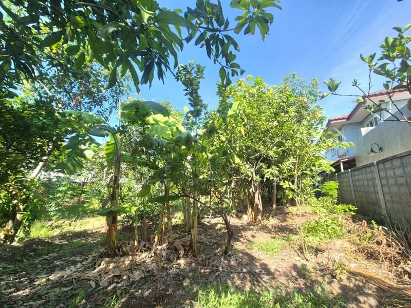 ที่ดินสามพราน นครปฐม, Nakhon Pathom, Bang Krathuk, Sam Phran, Nakhon Pathom, , 1,200 sqm, Land For Sale, by The Best Property แอม, 500409767 - DDproperty.com