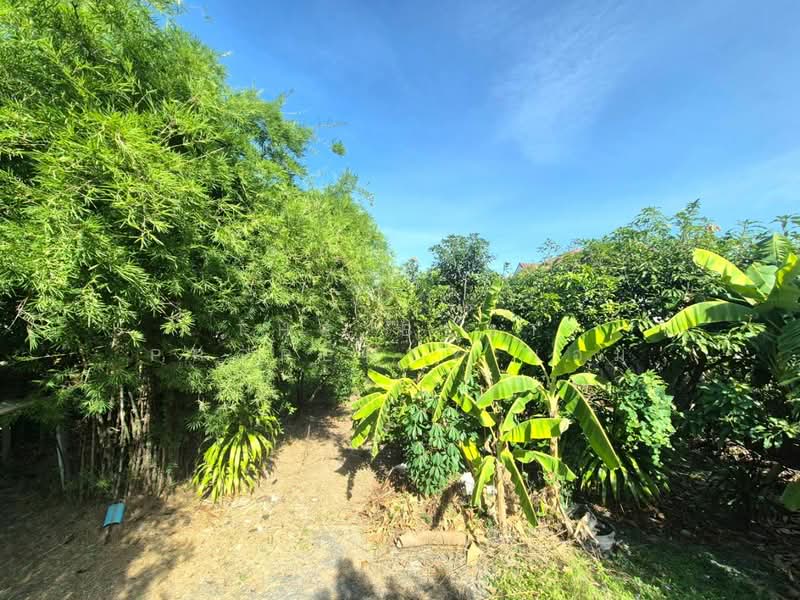 ที่ดินสามพราน นครปฐม, นครปฐม, บางกระทึก, สามพราน, นครปฐม, 1,200 ตร.ม., ที่ดิน ขาย, โดย The Best Property แอม, 500409767 - DDproperty.com