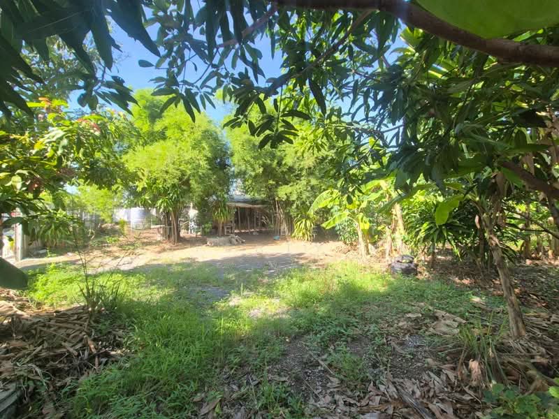 ที่ดินสามพราน นครปฐม, Nakhon Pathom, Bang Krathuk, Sam Phran, Nakhon Pathom, , 1,200 sqm, Land For Sale, by The Best Property แอม, 500409767 - DDproperty.com