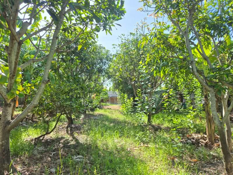 ที่ดินสามพราน นครปฐม, Nakhon Pathom, Bang Krathuk, Sam Phran, Nakhon Pathom, , 1,200 sqm, Land For Sale, by The Best Property แอม, 500409767 - DDproperty.com