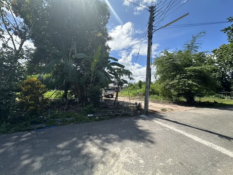 สันป่าตอง, Chiang Mai, Ban Klang, San Pa Tong, Chiang Mai, , 1,076 sqm, Land For Sale, by วชิราภรณ์ เพ็ชรไชย, 500409780 - DDproperty.com