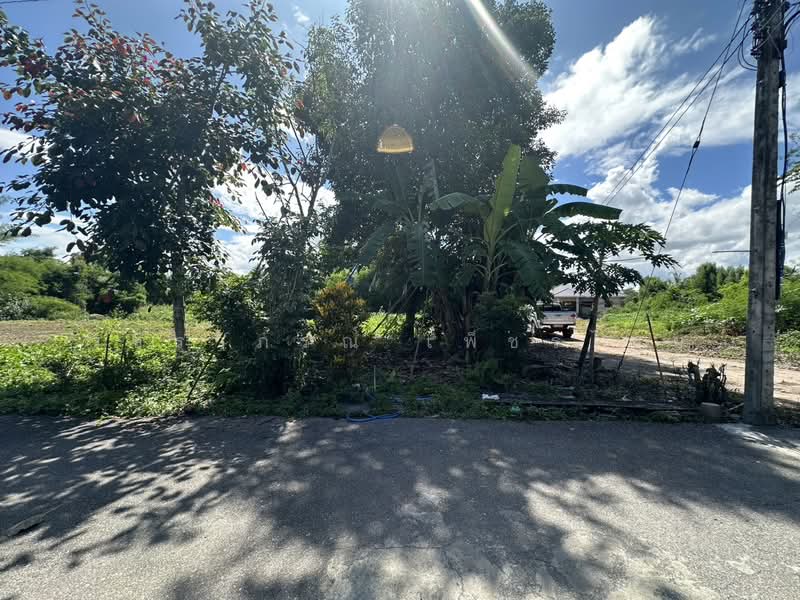 สันป่าตอง, Chiang Mai, Ban Klang, San Pa Tong, Chiang Mai, , 1,076 sqm, Land For Sale, by วชิราภรณ์ เพ็ชรไชย, 500409780 - DDproperty.com
