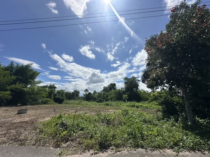สันป่าตอง, Chiang Mai, Ban Klang, San Pa Tong, Chiang Mai, , 1,076 sqm, Land For Sale, by วชิราภรณ์ เพ็ชรไชย, 500409780 - DDproperty.com