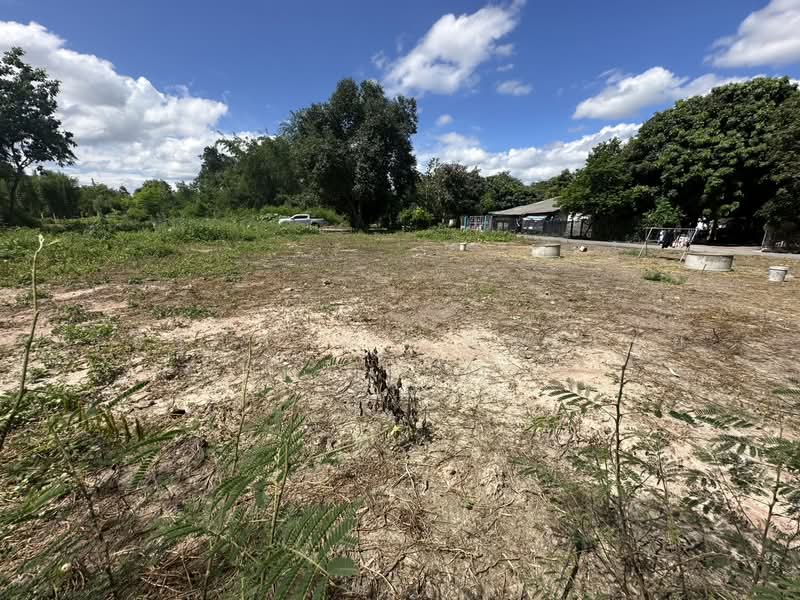 สันป่าตอง, Chiang Mai, Ban Klang, San Pa Tong, Chiang Mai, , 1,076 sqm, Land For Sale, by วชิราภรณ์ เพ็ชรไชย, 500409780 - DDproperty.com