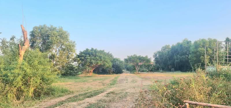 ที่ดินพร้อมสิ่งปลูกสร้างบ้านสร้าง ปราจีนบุรี, Prachin Buri, Bang Toei, Ban Sang, Prachin Buri, , 17,736 sqm, Land For Sale, by The Best Property นก, 500409825 - DDproperty.com