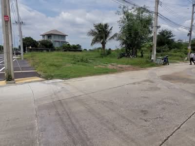 ขาย - ขายที่ดินเปล่า 133 ตร.ว.ฉิมพลี เขต ตลิ่งชัน ในซอยพุทธมณฑลสาย 1 ซอย 59, กรุงเทพ