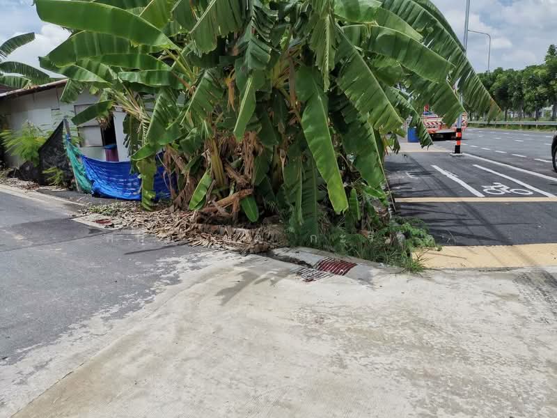 ขายที่ดิน, กรุงเทพ, ฉิมพลี, ตลิ่งชัน, กรุงเทพ, 596 ตร.ม., ที่ดิน ขาย, โดย ศศิกานต์ กะรีวัต, 500409840 - DDproperty.com