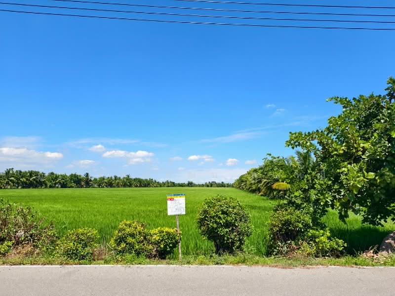 ขายที่ดิน 7-2-8 ไร่ ตรงข้ามอนามัยหนามแดง ใกล้วัดหนามแดง จ.ฉะเชิงเทรา, Chachoengsao, Nam Daeng, Muang Chachoengsao, Chachoengsao, , 12,032 sqm, Land For Sale, by ทองมี รูปสูง, 500409930 - DDproperty.com