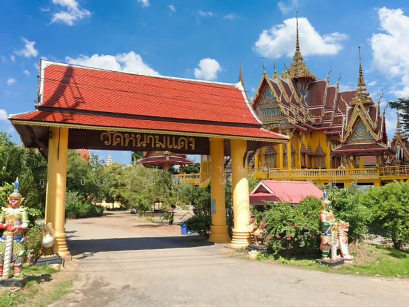ขายที่ดิน 7-2-8 ไร่ ตรงข้ามอนามัยหนามแดง ใกล้วัดหนามแดง จ.ฉะเชิงเทรา, Chachoengsao, Nam Daeng, Muang Chachoengsao, Chachoengsao, , 12,032 sqm, Land For Sale, by ทองมี รูปสูง, 500409930 - DDproperty.com