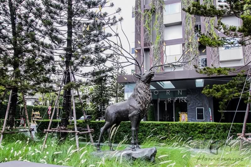 ASHTON Morph 38, Bangkok, 88 Soi Sukhumvit 38, Phra Kanong, Khlong Toei, Bangkok, 1 Bedroom, 72 sqm, Condo For Rent, by Thikhamporn Sanguansiri, 500409977 - DDproperty.com