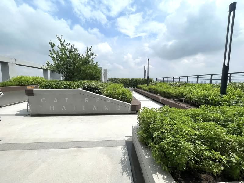 Lumpini Place Chaengwattana-Pakkret Station, นนทบุรี, Chaeng Watthana Rd, ปากเกร็ด, นนทบุรี, 28 ตร.ม., คอนโด ให้เช่า, โดย Cat Real Estate (Thailand) Co., Ltd., 500410119 - DDproperty.com