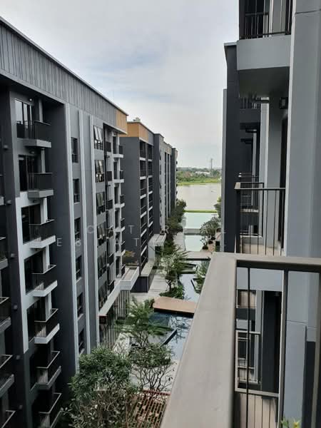 The Politan Breeze นนทบุรี (เดอะ โพลิแทน บรีซ นนทบุรี), นนทบุรี, ถนนสนามบินน้ำ, บางกระสอ, เมืองนนทบุรี, นนทบุรี, 30 ตร.ม., คอนโด ให้เช่า, โดย Cat Real Estate (Thailand) Co., Ltd., 500410133 - DDproperty.com