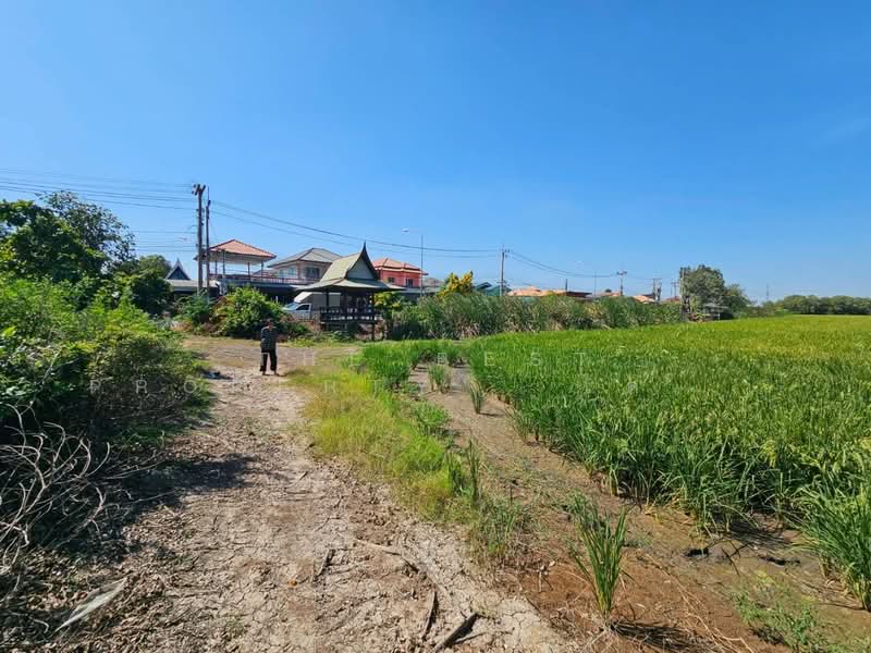 ที่ดินบางปะอิน พระนครศรีอยุธยา, พระนครศรีอยุธยา, คลองจิก, บางปะอิน, พระนครศรีอยุธยา, 49,200 ตร.ม., ที่ดิน ขาย, โดย The Best Property ไตเติ้ล, 500410138 - DDproperty.com
