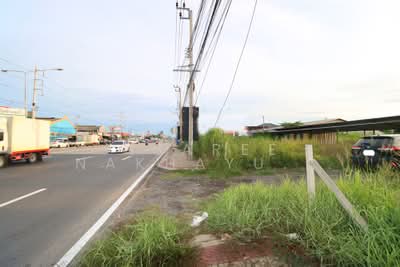 ขาย - ที่ดินติด ถนนกิ่งแก้ว ห่างจาก ถ.บางนา-ตราด 2 กิโล ใกล้สุวรรณภูมิ, สมุทรปราการ