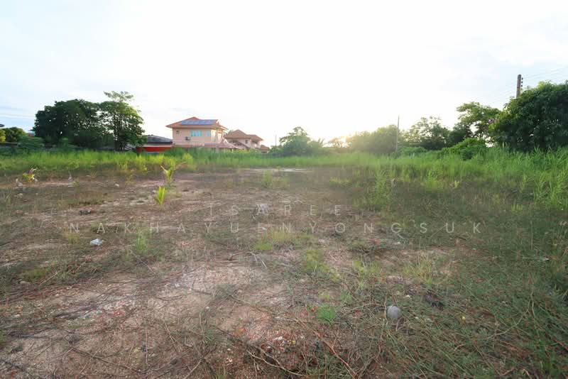 ที่ดินติด ถนนกิ่งแก้ว ห่างจาก ถ.บางนา-ตราด 2 กิโล ใกล้สุวรรณภูมิ, สมุทรปราการ, กิ่งแก้ว, บางพลีใหญ่, บางพลี, สมุทรปราการ, 3,200 ตร.ม., ที่ดิน ขาย, โดย Isaree Nakhayuenyongsuk, 500410147 - ที่ดินติด ถ.กิ่งแก้ว  ใกล้สุวรรณภูมิ - DDproperty.com