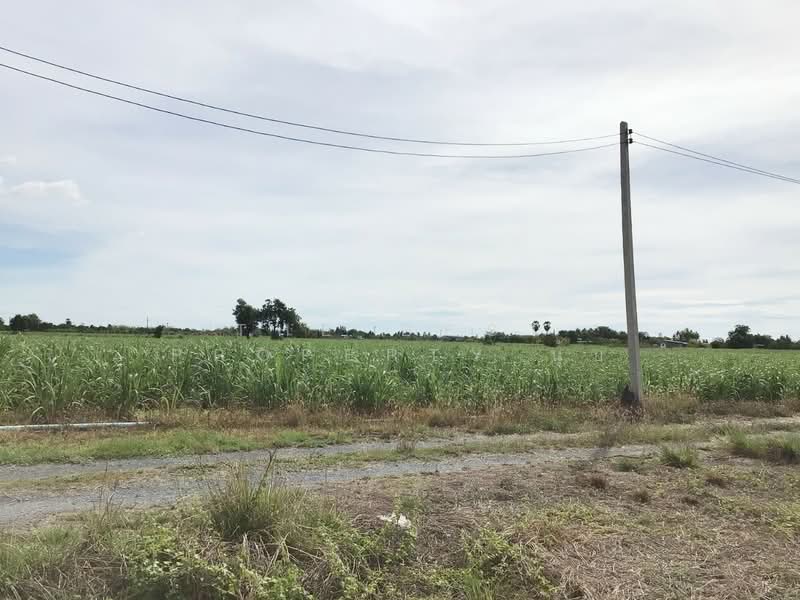 ที่ดินอู่ทอง สุพรรณบุรี, Suphan Buri, Phapphachai, U Thong, Suphan Buri, , 13,885 sqm, Land For Sale, by The Best Property นุ้ย, 500410213 - DDproperty.com