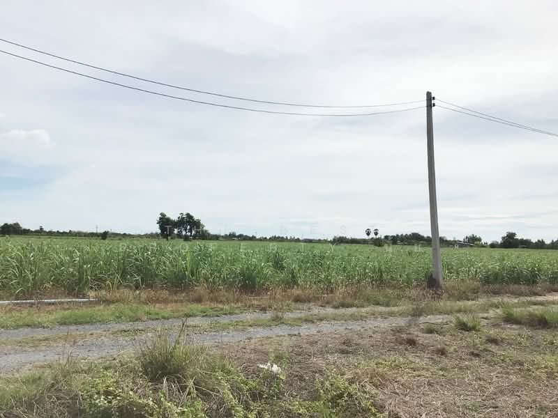 ที่ดินอู่ทอง สุพรรณบุรี, สุพรรณบุรี, พลับพลาไชย, อู่ทอง, สุพรรณบุรี, 13,885 ตร.ม., ที่ดิน ขาย, โดย The Best Property นุ้ย, 500410213 - DDproperty.com