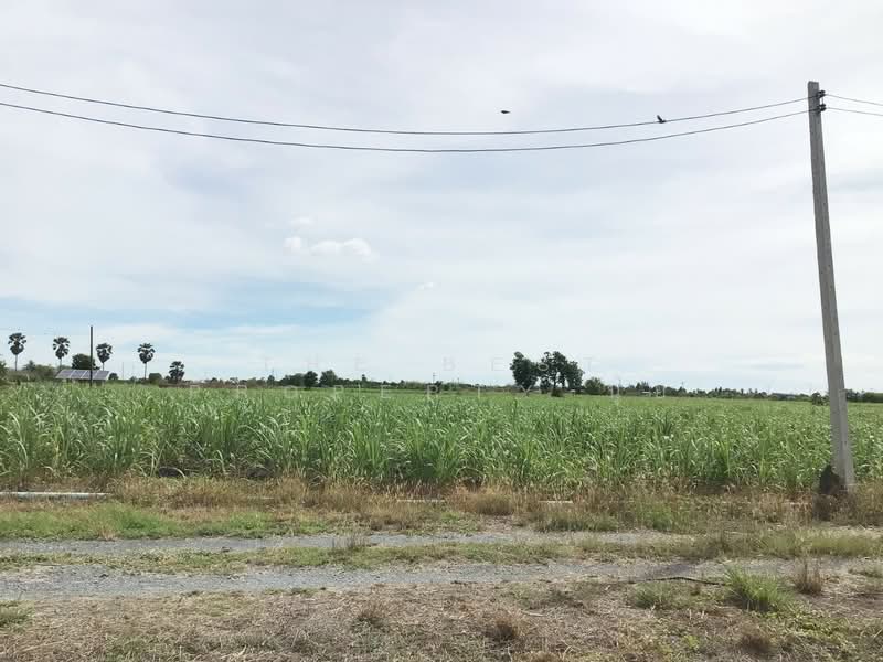 ที่ดินอู่ทอง สุพรรณบุรี, Suphan Buri, Phapphachai, U Thong, Suphan Buri, , 13,885 sqm, Land For Sale, by The Best Property นุ้ย, 500410213 - DDproperty.com