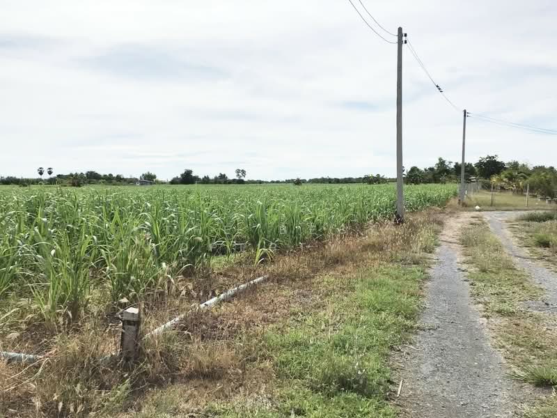 ที่ดินอู่ทอง สุพรรณบุรี, Suphan Buri, Phapphachai, U Thong, Suphan Buri, , 13,885 sqm, Land For Sale, by The Best Property นุ้ย, 500410213 - DDproperty.com