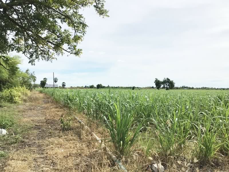 ที่ดินอู่ทอง สุพรรณบุรี, Suphan Buri, Phapphachai, U Thong, Suphan Buri, , 13,885 sqm, Land For Sale, by The Best Property นุ้ย, 500410213 - DDproperty.com