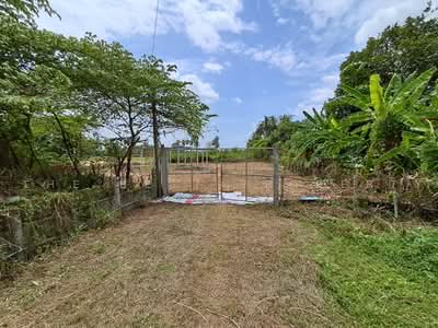 ขาย - ที่ดินโพธาราม ราชบุรี, ราชบุรี