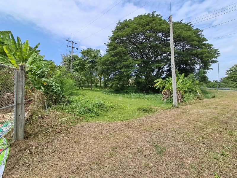 ที่ดินโพธาราม ราชบุรี, Ratchaburi, Khlong Takhot, Photharam, Ratchaburi, , 4,828 sqm, Land For Sale, by The Best Property เปี๊ยก, 500410280 - DDproperty.com