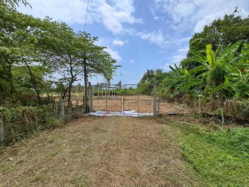 ที่ดินโพธาราม ราชบุรี, Ratchaburi, Khlong Takhot, Photharam, Ratchaburi, , 4,828 sqm, Land For Sale, by The Best Property เปี๊ยก, 500410280 - DDproperty.com